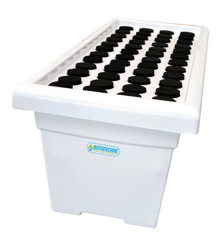 48 Plant Clone Machine