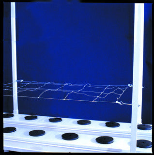 4'x50' Horti-Trellis