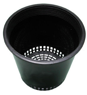 6" Mesh Bottom Pot