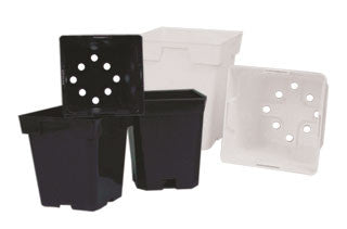 6"x6" Square Pot White (.75 gal)