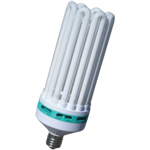 200w Compact Fluorescent (Warm)