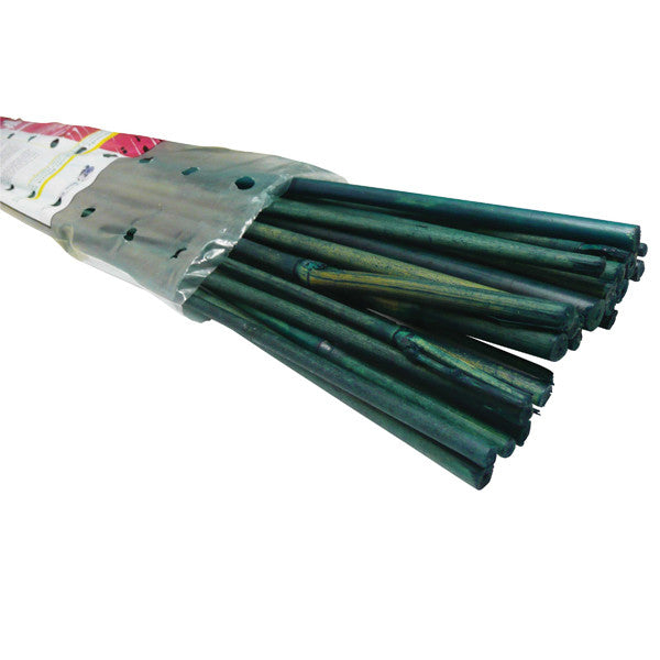 2' Bamboo Stakes