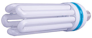 125 W Compact Fluorescent Bulb - Daylight
