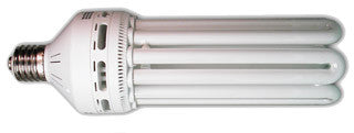 125 W Compact Fluorescent Bulb - Warm