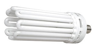 200 W Compact Fluorescent Bulb - Daylight