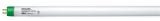 2" T5 Warm Phillips Fluorescent Bulb