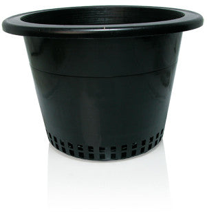 10" Pot w/ Mesh Bottom
