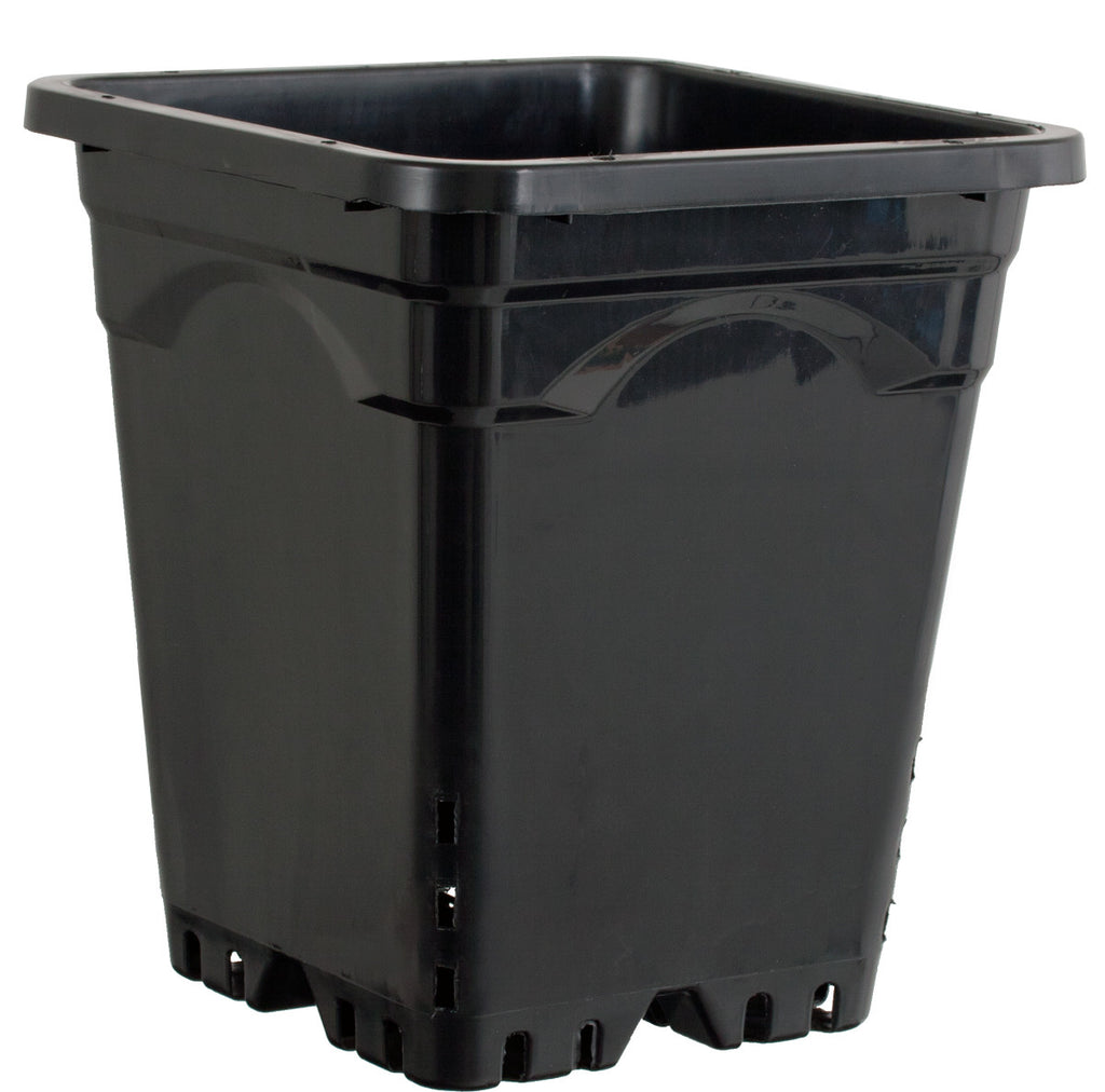 12"x12" Square Black Pot