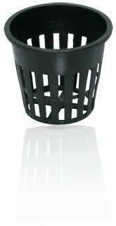 2" NetCup