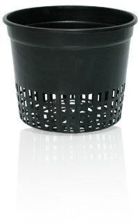 5" Net Cup