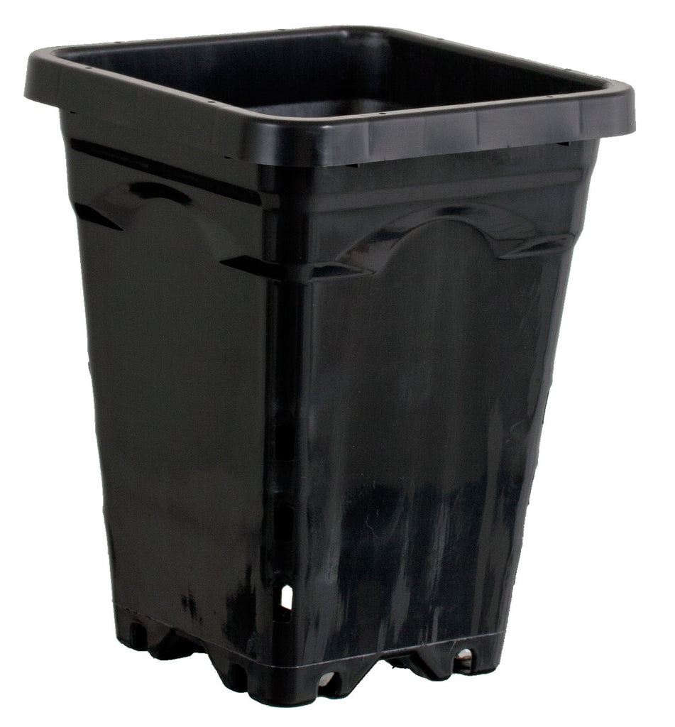 5"x5" Square Black Pot