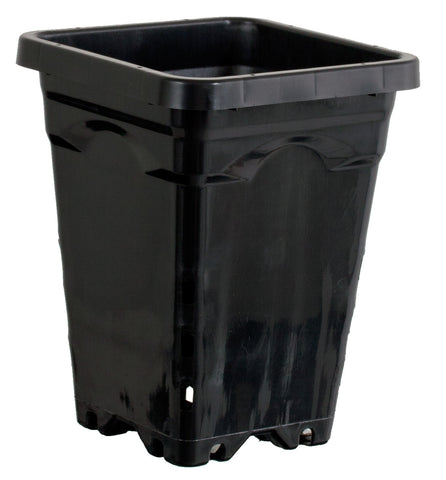 5"x5" Square Black Pot