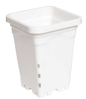 5x5" Square Pot White