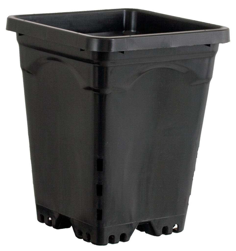 6"x6" Square Black Pot