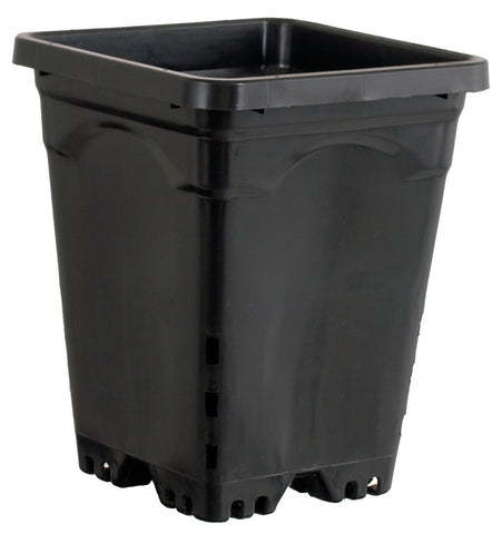 6"x6" Square Black Pot