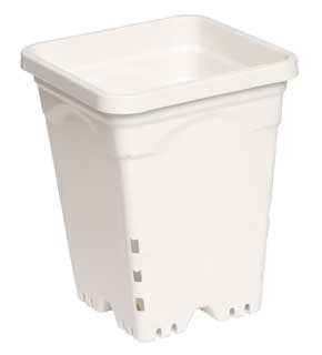 6x6" Square Pot White