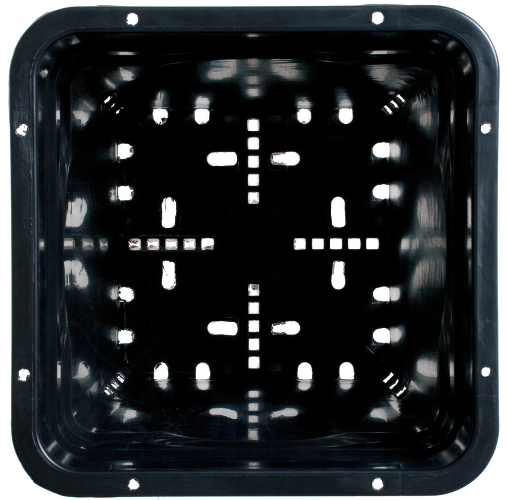 7"x7" Square Black Pot