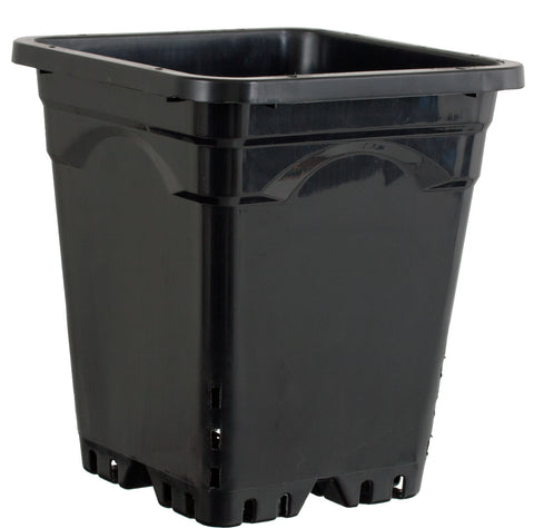 9"x9" Square Black Pot