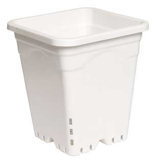 9x9" Square Pot White