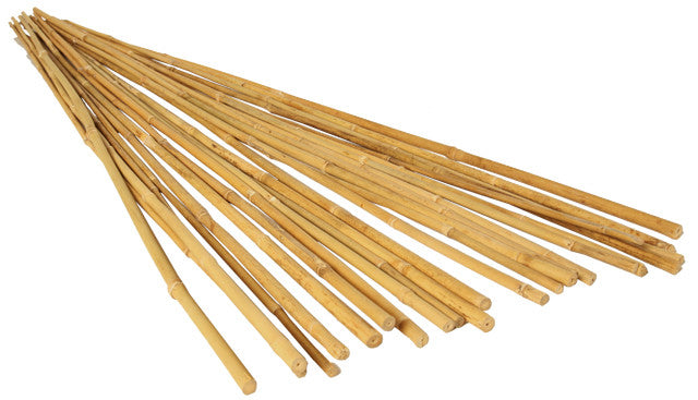 6' Natural Bamboo Stake