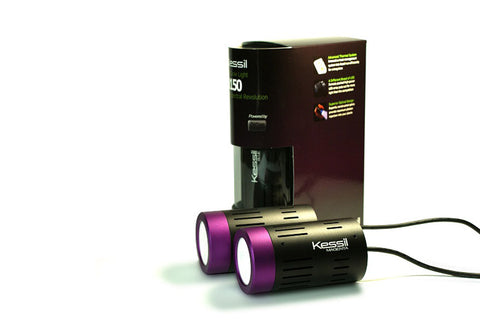 36W LED Grow Light, Purple