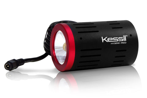 36W Wide Angle LED Grow Light, Red