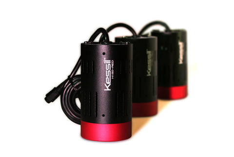 36W LED Grow Light, Red