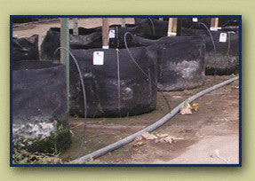 10 Gallon Smart Pot 16"x 12.5"