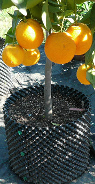 Air-Pot #1 1 Gal Equivalent